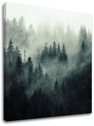 Obraz na stenu HORY_050-12 | rôzne rozmery