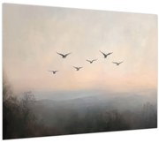 Obraz - Hejno vtákov (70x50 cm)