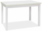 Jedálenský stôl Adam 120 x 68 cm, biela