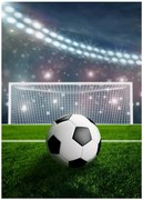 Fleecová deka s motívom Futbalové ihrisko - 100 x 140 cm