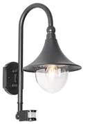 Vonkajšia nástenná lampa čierna IP44 vrátane detektora pohybu - Daphne