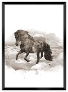 Plagát Horse