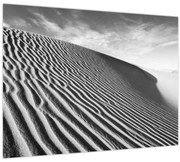 Obraz - Piesočná duna (70x50 cm)