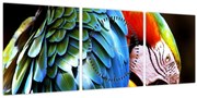 Obraz - Papagáj (s hodinami) (90x30 cm)