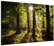 Obraz snového lesa (90x60 cm)