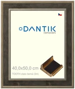 DANTIK rám na obraz 40x50 | TOOTH zlato černá (Sklo Čiré)