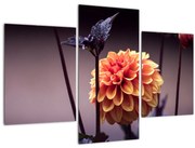 Obraz - Kvietok (90x60 cm)