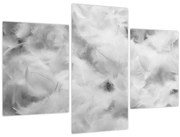 Obraz - Oblaky perie (90x60 cm)