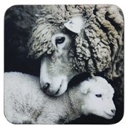 6 ks pevné korkové podtácky Ovce - 10 * 10 * 0,4 cm