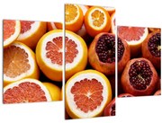 Obraz pomarančov a granátových jabĺk (90x60 cm)