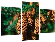 Obraz šišiek (90x60 cm)