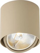 Moderný naklápací stropný bodový reflektor Taupe GU10 AR111 - Impact