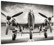 Obraz - Warbird (90x60 cm)