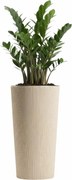PLASTOVÝ KVETINÁČ URBANIKA ECO 36,5X19,5 CM LATTE