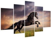 Obraz - Kone (150x105 cm)