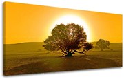 Obraz na stenu PANORÁMA STROMY | rôzne rozmery