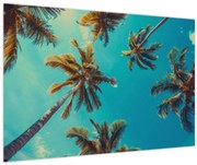 Obraz - Vysoké palmy (90x60 cm)