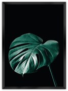 Plagát Dark Monstera