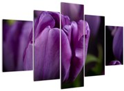 Obraz kvetov tulipánov (150x105 cm)