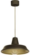 Luster na lanku CLASS 1xE27/15W/230V mosadz