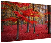 Obraz - Červený les (90x60 cm)