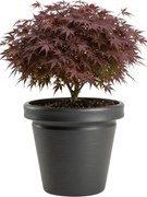 Plastový květináč Riflo 40x46 cm antracitový