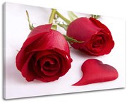 Obraz na stenu KVETY | rôzne rozmery