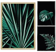 Súbor obrazov Botanica 3 ks