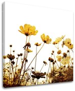 Obraz na stenu KVETY | rôzne rozmery