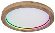 Globo 41374-24R - LED RGBW Stmievateľné stropné svietidlo BRANZA LED/24W/230V + DO