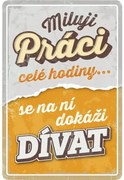 Ceduľa BU20045 20x30 cm Milujeme prácu