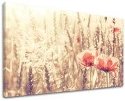 Obraz na stenu KVETY | rôzne rozmery