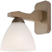 Nástenné svietidlo ADRIANO 1xE27/60W/230V