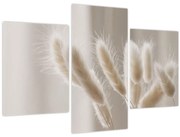 Obraz - Zajačie chvostíky (90x60 cm)