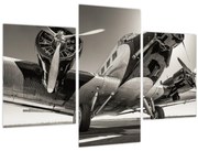 Obraz - Historické lietadlo (90x60 cm)