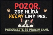 Mercury Flooring, Rohožka Líný pes 40x60 cm - na von aj na doma, 40x60, šedá