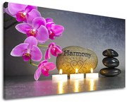 Obraz na stenu FENG SHUI | rôzne rozmery