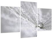 Obraz - Kvapka vody (90x60 cm)