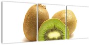 Kiwi, obraz