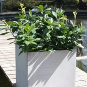 Kvetináč BLOCK, sklolaminát, 60x60x60 cm, betón design