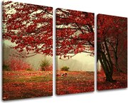Obraz na stenu 3 dielny STROMY ST017E30