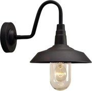 Vonkajšie nástenné svietidlo NILDA 1xE27/60W/230V IP44 čierna