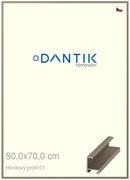 DANTIK rám na obraz 50x70 | ALU champagne (Plexi Čiré)