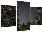 Obraz nočnej oblohy (90x60 cm)