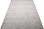 TA Koberec 7000 STRIEBORNÝCH NOJANOV Rozmer: 80x150 cm