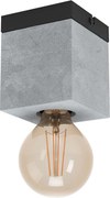 Eglo 43595 - Stropné svietidlo PRESTWICK 1xE27/40W/230V