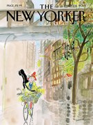 Ilustrácia The NY Magazine Cover 321