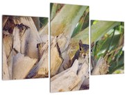 Obraz veveričky na strome (90x60 cm)