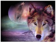 NO-1004952 NORIMPEX 5D Diamantová mozaika - wolf