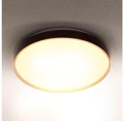 Brilagi - LED Stropné svietidlo CALA LED/24W/230V BG1626